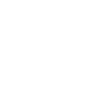 tiktok icon